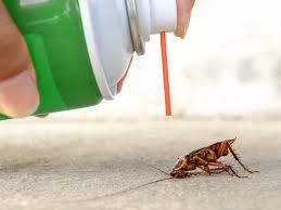pest control services in hyderabad